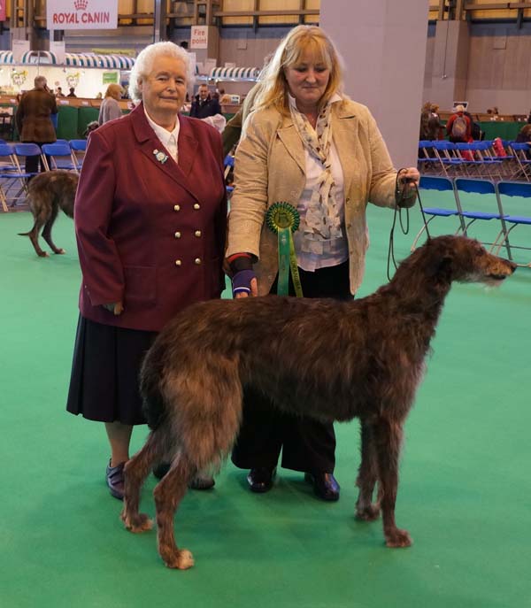 Bitch CC Winner Crufts 2014